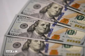 Le Vietnam a été le seul marché à enregistrer des entrées nettes de capitaux étrangers sur son marché financier. Photo : VNA