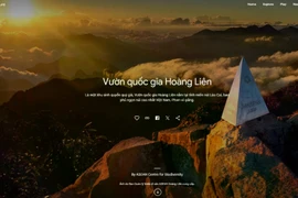 L'image du Vietnam est promue dans le projet d'exposition en ligne « Vibrant Vietnam » sur la plateforme numérique « Google Arts & Culture ». Photo : Vietnamplus