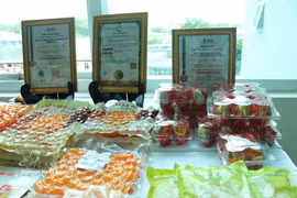 Les œufs salés de la société Minh Duc, basée à Can Tho, ont obtenu la certification halal. Photo : VNA