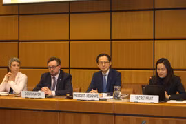 L’Ambassadeur Do Hung Viet, représentant permanent du Vietnam auprès de l’ONU et président désigné de la 11e Conférence d’examen du Traité sur la non-prolifération des armes nucléaires. Photo : VNA