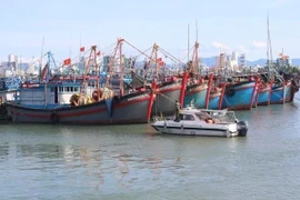 La province de Khanh Hoa surveille de près sa flotte de pêche. (Photo : nongnghiepmoitruong.vn)
