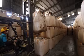 Des grains de café stockés dans un entrepôt de la province de Gia Lai. — Photo VNA/VNS