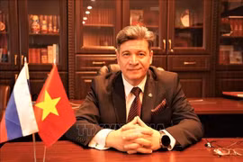 Le professeur, docteur en sciences Vladimir Kolotov, chef de la faculté d'histoire des pays d'Extrême-Orient et directeur de l'Institut Hô Chi Minh de l'Université nationale de Saint-Pétersbourg (Russie). Photo : VNA