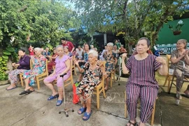 Des personnes âgées sont prises en charge à l’Institut Tâm An, à Hô Chi Minh-Ville. Photo ; VNA