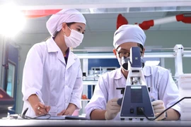 Recherche scientifique au laboratoire de l'usine pharmaceutique de haute technologie CVI Pharma (parc de haute technologie Hoa Lac). Photo : VNA