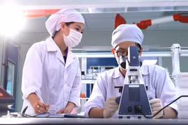 Recherche scientifique au laboratoire de l'usine pharmaceutique de haute technologie CVI Pharma (parc de haute technologie Hoa Lac). Photo : VNA