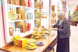 Grâce à sa position géostratégique de premier plan, Turquie s’affirme comme un marché prometteur pour les produits Halal du Vietnam. Photo : Nhan dan 