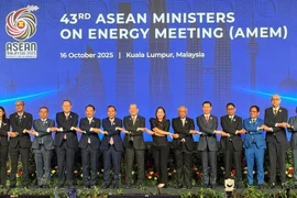 Les chefs de délégation participent à la 43e réunion des ministres de l'Énergie de l'ASEAN. (Photo : VNA)