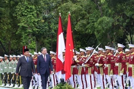 Après une revue de la garde d'honneur et les présentations officielles, Tô Lâm et Prabowo Subianto se sont entretenus en privé avant de présider une réunion de haut niveau. Photo : VNA