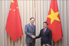 Le vice-ministre permanent des Affaires étrangères et secrétaire général du Comité directeur pour la coopération bilatérale Vietnam-Chine Nguyên Minh Vu (droite) et e vice-ministre chinois des Affaires étrangères et secrétaire général du Comité directeur pour la coopération bilatérale Chine-Vietnam, Sun Weidong. Photo : VNA