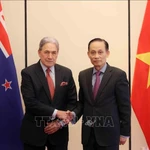 Le ministre des Affaires étrangères, Lê Hoài Trung (à droite) et son homologie néo-zélandais Winston Peters, à Hanoi, le 26 novembre. Photo : VNA