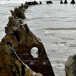 Une épave centenaire refait surface au large de Hôi An après le passage du typhon Kalmaegi. Photo: VNA