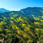 Panorama du parc national de Bat Xat dans la province septentrionale de Lào Cai. vneconomy.vn