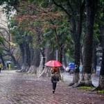 Des pluies et des averses éparses sont attendues à partir de la nuit du 2 mars en raison de l'arrivée d'une nouvelle masse d'air froid. Photo d’illustration : VNP