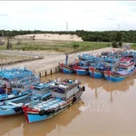 Bateaux de pêche équipés d’équipements de surveillance de croisière dans la province de Quang Binh (Centre). Photo : VNA