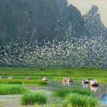 Le tourisme ornithologique est bien plus qu’une simple activité de loisirs : il permet de découvrir la faune locale tout en contribuant à la préservation de la nature.