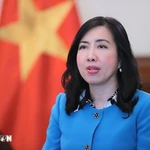 La vice-ministre des Affaires étrangères, Lê Thi Thu Hang. Photo : VNA