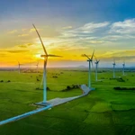 Ce secteur des énergies renouvelables, en pleine expansion, attire de plus en plus l’attention des investisseurs locaux et internationaux. Photo: baotainguyenmoitruong.vn