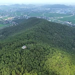Vue aérienne de la forêt de pins dans la province de Thanh Hoa (Centre), en mars 2024. Photo: VnExpress