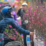 Une série de vagues de froid devrait toucher le Nord et le Centre-Nord d'ici aux vacances du Nouvel An lunaire (du 14 au 22 février). Photo : VietnamPlus