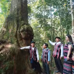 Les Co Tu entretiennent un lien étroit avec la forêt, qu’ils considèrent comme la source de leur culture. Photo : vietnamnet.vn