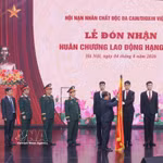 Le vice-président du Comité central du Front de la Patrie du Vietnam, Nguyên Phi Long remet l’Ordre du Travail de deuxième classe à l’Association des victimes de l’agent orange/dioxine du Vietnam (VAVA). Photo : VNA
