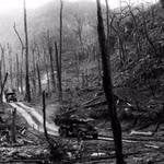 Le tristement célèbre agent orange contenant de la dioxine, l’un des produits toxiques les plus puissants, déversé massivement par les troupes américaines pendant le conflit, continue à faire des dégâts. Photo: VNA