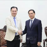 Le vice-Premier ministre Bui Thanh Son (à droite) serre la main de Kounlaphanh Vongnathy, vice-président du groupe Phongsupthavy. Photo : VNA