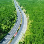 Avec un parcours "touchant la mer et traversant la forêt" et la participation de partenaires de mobilité verte tels que VinFast et Xanh SM, le VnExpress Marathon Green Paradise Cân Gio est la course présentant le parcours le plus écologique du système VnExpress Marathon. Photo : VNA