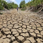 Le canal Suon, traversant la commune de Tân Tâp, district de Cân Giuôc, province de Long An, à sec en raison d’une sécheresse prolongée et de la salinité en 2024. Photo : qdnd.vn
