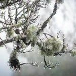 Une importante masse d’air froid se dirige vers le Vietnam et devrait toucher les régions du Nord et du Centre les 12 et 13 décembre, avec des températures chutant brutalement jusqu’à 5°C dans certaines zones. Photo: vtcnews