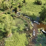 Vue aérienne d’une partie de la forêt de cajeputiers de Trà Su. Photo : VNA