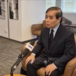 Le professeur Vu Minh Khuong, de l’École de politiques publiques Lee Kuan Yew, au micro de la VNA. Photo: VNA