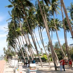 Mui Ne, une destination balnéaire réputée pour ses plages de sable fin bordées de cocotiers. Photo: VNA