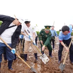 Des représentants de Panasonic ont planté des arbres en compagnie de représentants du journal Agriculture et Environnement et des autorités locales. Photo: Panasonic Vietnam