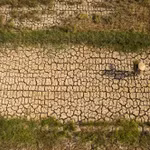 Une rizière ravagée par la sécheresse dans le delta du Mékong. Un épisode El Niño très intense est susceptible d’accroître les risques de sécheresse, de pénurie d’eau et d’intrusion d’eau salée. Photo: VNP