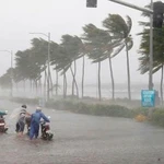 L'activité orageuse et les dépressions tropicales touchant le Vietnam en 2026 devraient être bien inférieures à celles de 2025. Photo d’illustration : cafef.vn