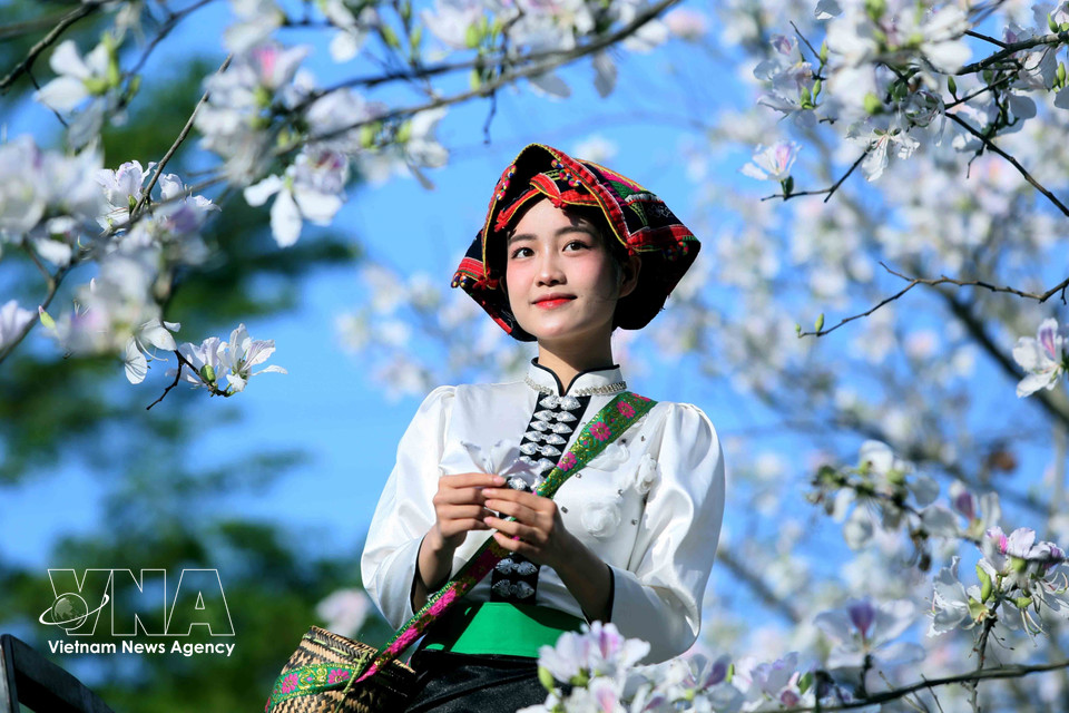 Des jeunes vêtus de costumes traditionnels de l'ethnie Thai se rassemblent pour contempler les fleurs et prendre des photos souvenirs. Photo : Quang Quyet – VNA.