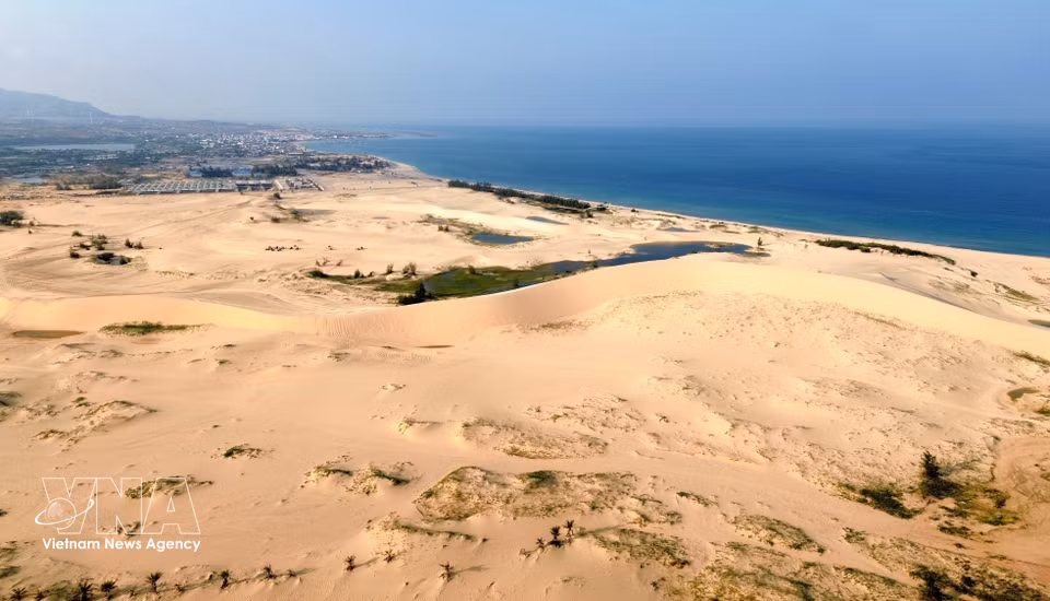 Les dunes de Mui Dinh (commune de Phuoc Dinh, province de Khanh Hoa) s'étendent à perte de vue le long de la côte. Photo : VNA