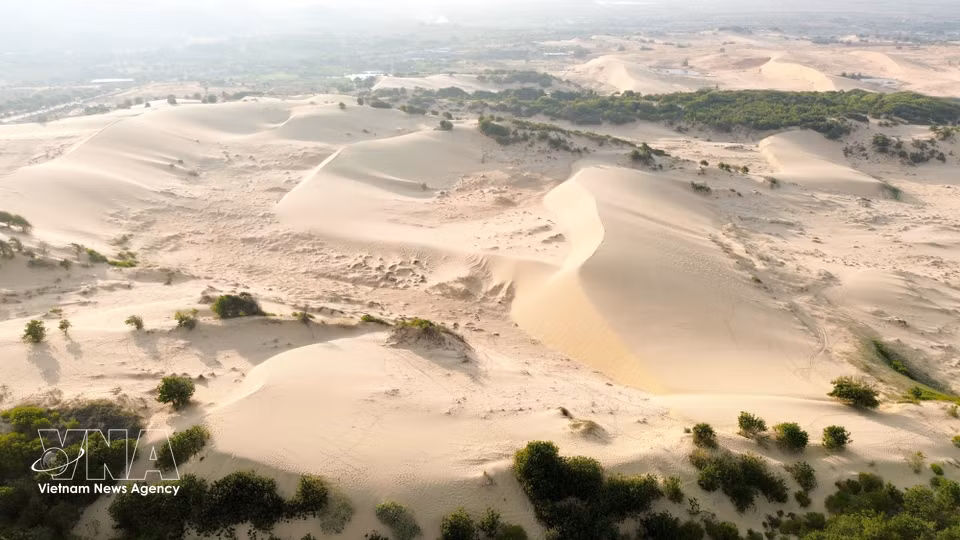 Les vastes dunes de sable de Mui Dinh, bordant la mer, façonnent un paysage à la fois sauvage et saisissant. Photo : VNA