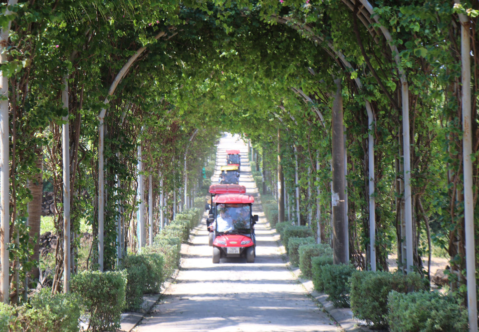 Un chemin frais et verdoyant bordé de bougainvilliers mène les visiteurs jusqu'à la plage. Photo : Pham Cuong-VNA