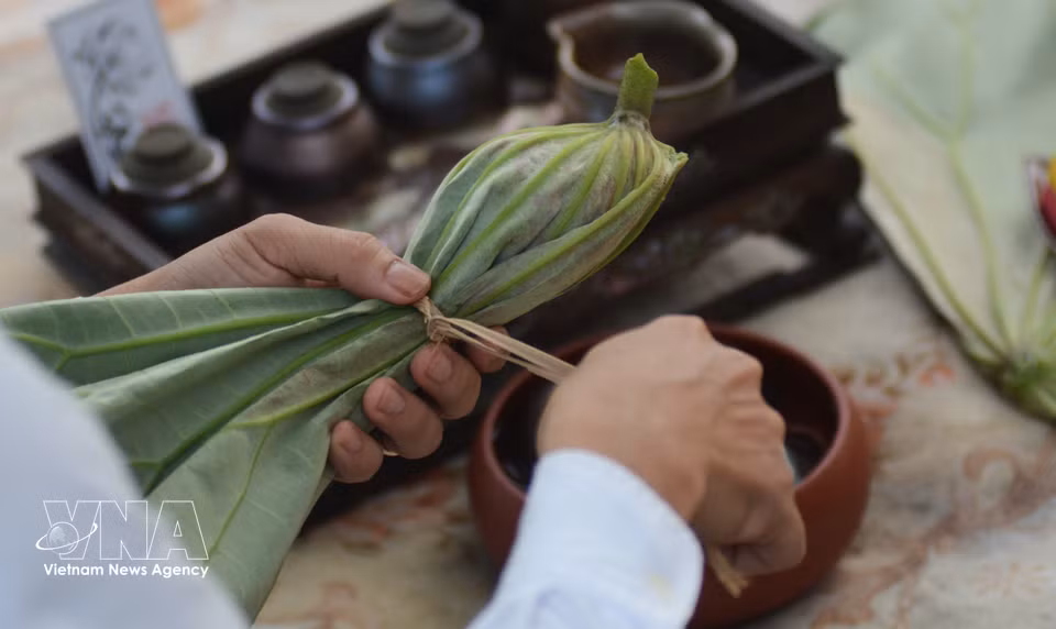 Le thé infusé dans la fleur est enveloppé dans une feuille de lotus et conservé au réfrigérateur pour une préservation durable. Photo : VNA