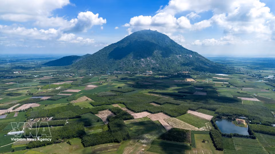 Le mont Ba Den abrite six groupes de doucs à pattes noires totalisant 118 individus. Cette espèce rare vit de manière stable dans la forêt naturelle de la montagne. Photo : VNA