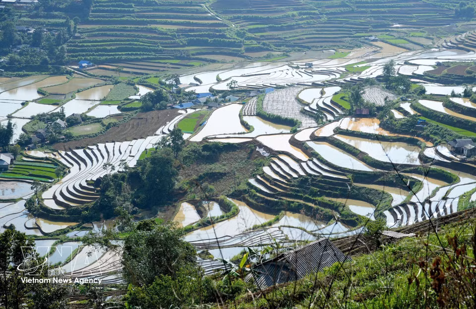 Les courbes sinueuses des rizières, épousant les flancs des montagnes, composent une véritable peinture à l’encre de Chine au cœur de la forêt profonde. Photo : VNA