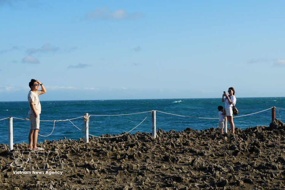 Des touristes prennent des photos pour immortaliser de beaux moments. Photo : VNA