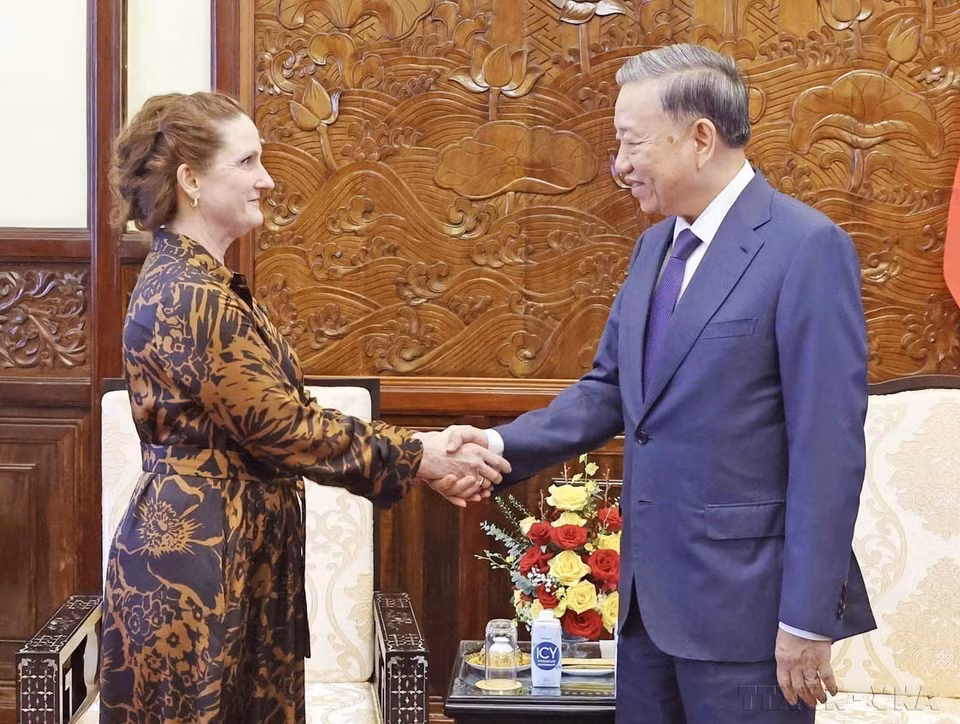 Dans l'après-midi du 4 juillet 2024, au Palais présidentiel, le président Tô Lâm reçoit l'ambassadrice de Nouvelle-Zélande au Vietnam, Caroline Beresford. Photo : Nhan Sang-VNA