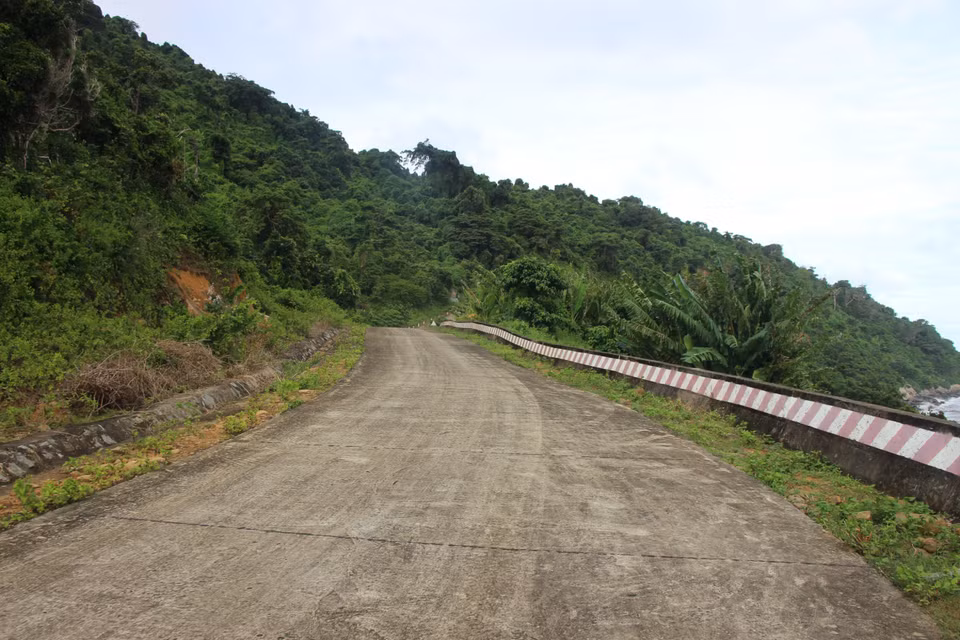 Le réseau routier de l'île de Hon Khoai, long de 14 km, facilite les opérations de patrouille, de contrôle et de protection des forêts. Photo : VNA
