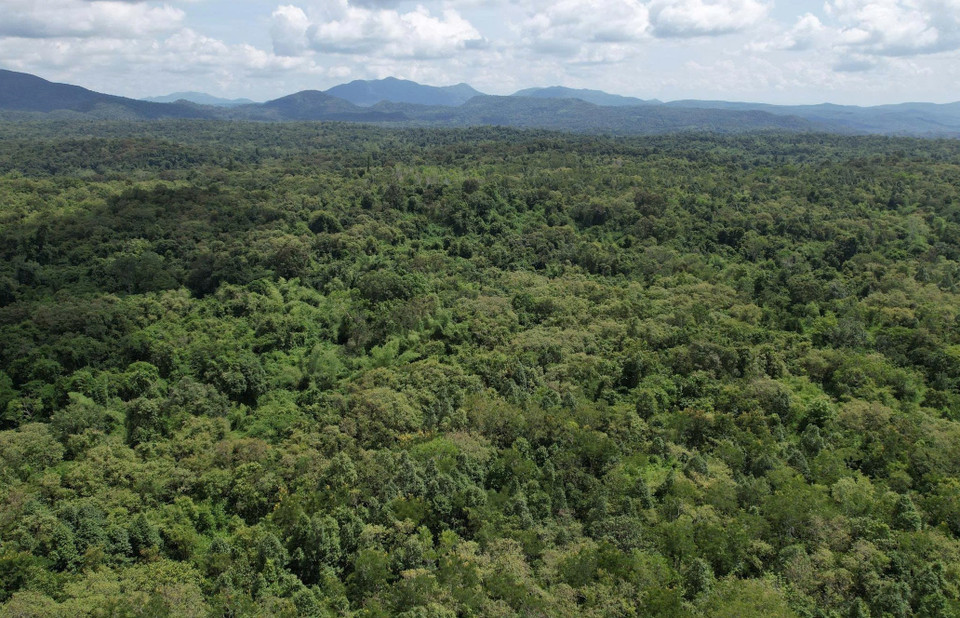 La Réserve naturelle d’Ea Sô couvre une superficie d’environ 26 850 hectares. Photo : CCD