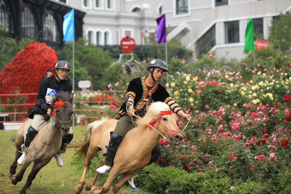 Organisé dans la zone touristique Sun World Fansipan Legend, le Festival du sabot de cheval dans les nuages dégage une ambiance joyeuse et unique. Photo : VNA