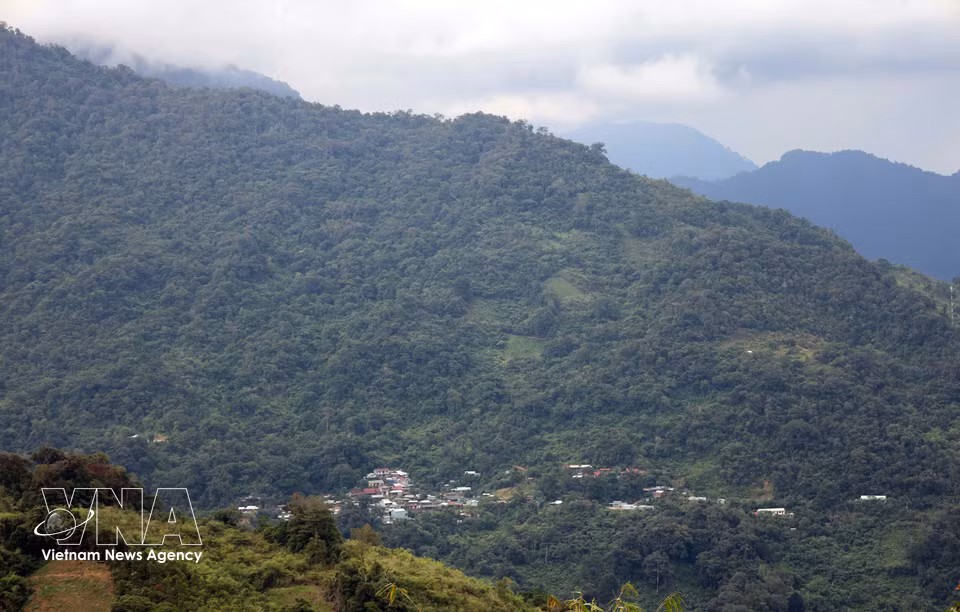 Un versant du mont Ngoc Linh, dont le climat frais toute l'année offre des conditions idéales à la culture du ginseng Ngoc Linh. Photo : Do Truong/VNA